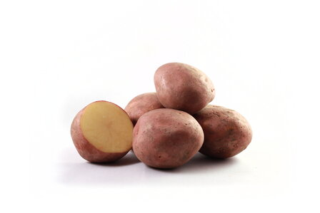 Bildtstar 5 kg (nieuw)