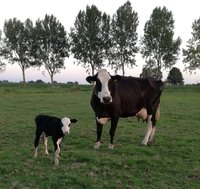 De boer verdient respect - 1 oktober 2019