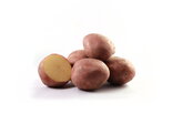Bildtstar-5-kg-(A)